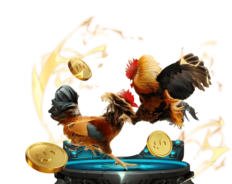 Hoàn trả thể thao hàng ngày Cwin55 Đăng Nhập